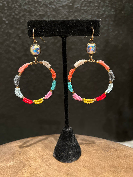 Multi Seed Bead Earring