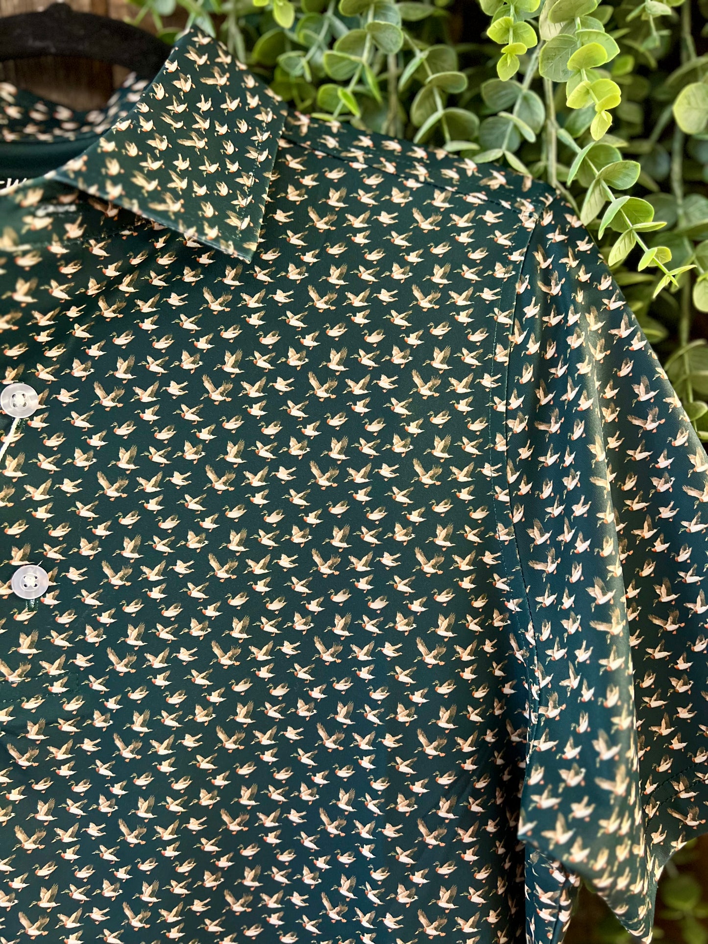 The Quack Polo