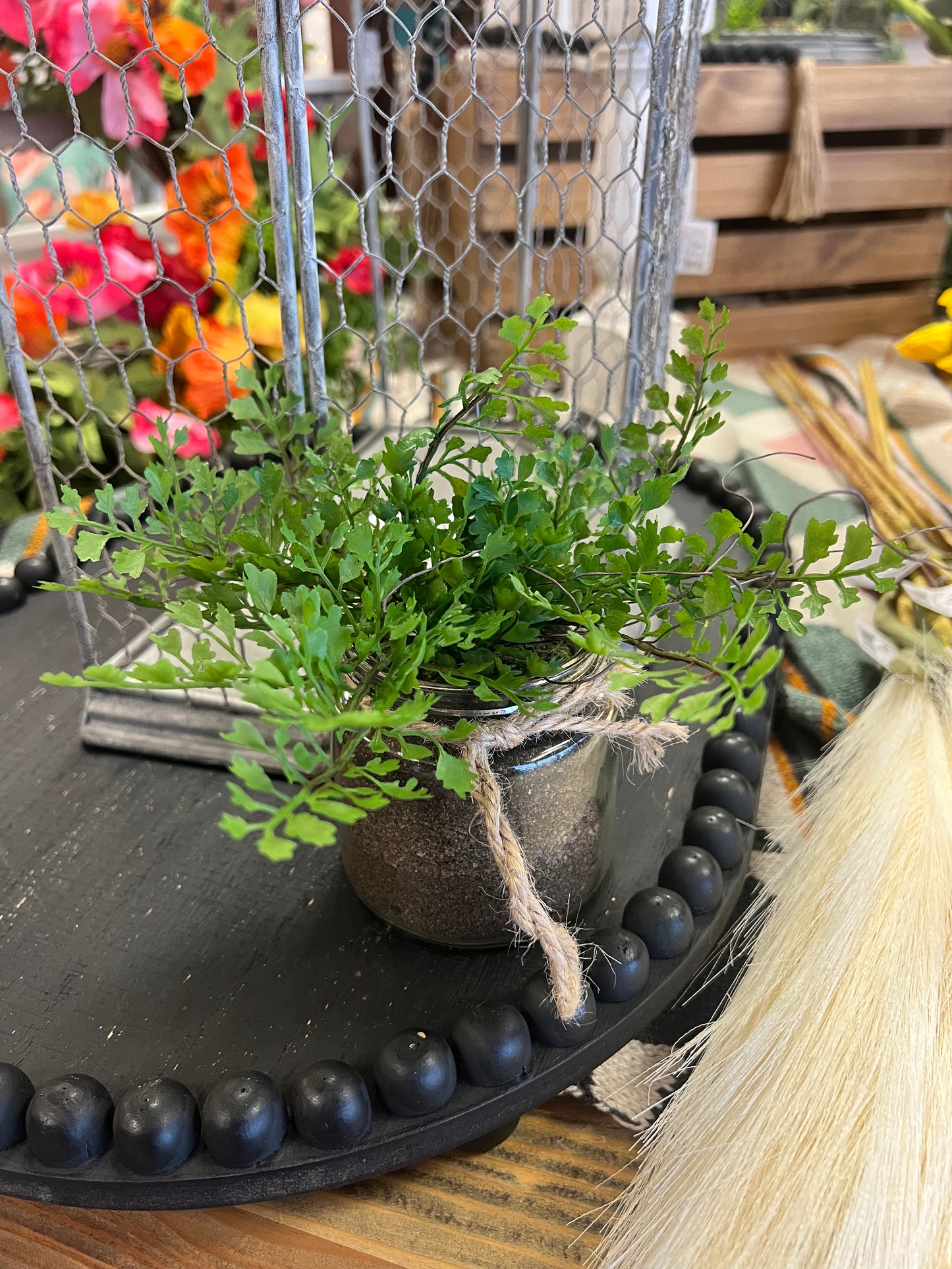 7.5” Potted Ferns